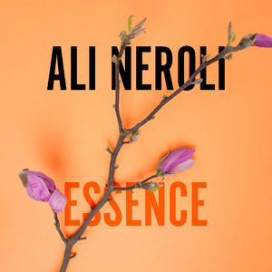 女生日屁视频网站
