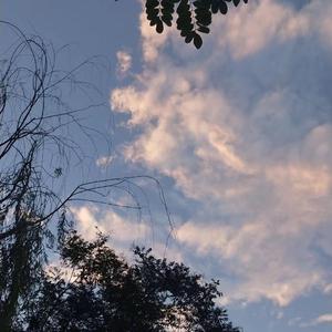 女生日屁视频网站
